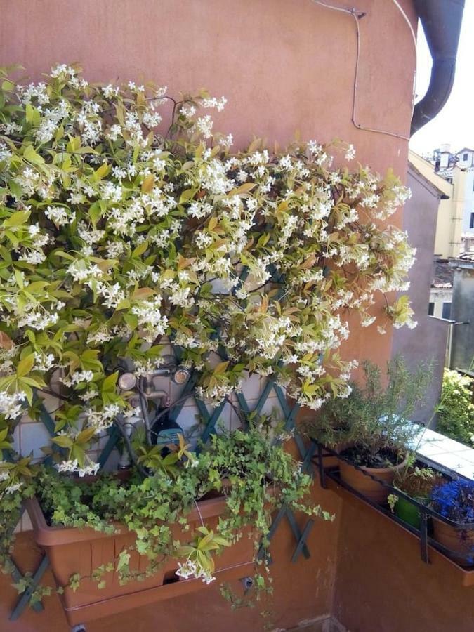 Ca' San Silvestro 2 Terrazze Nel Cuore Di Venezia Екстериор снимка